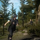 final-fantasy-xv-duscae-11