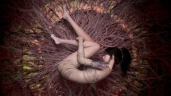 WUCHANG: Fallen Feathers IP je prodan za vi&scaron;e od 4,5 milijuna dolara