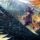 Iscurili su detalji besplatne multiplayer igre smještene u The Witcher univerzum